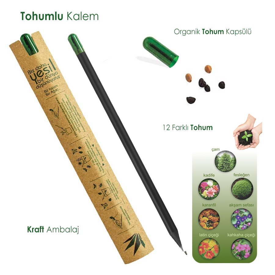 BP197 Siyah Renk Tohumlu Kurşun Kalem