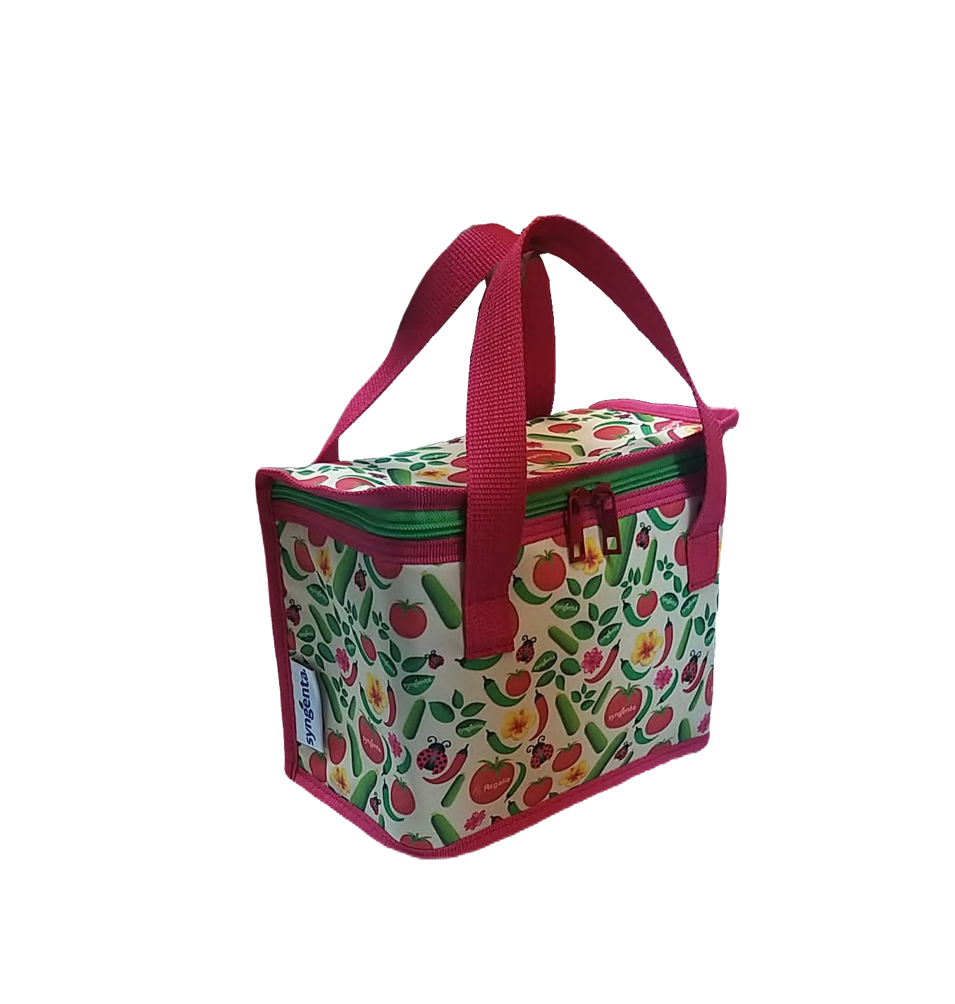 BP3227 Soğutucu Çanta