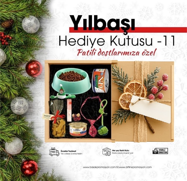 Y11 Hediye Kutu/Patili Dostlarımıza Özel